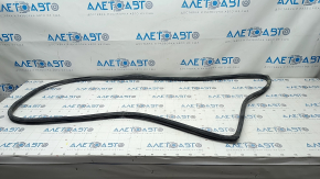 Subaru b10 Tribeca rear right door seal