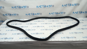 Mercedes W221 black rear right door seal