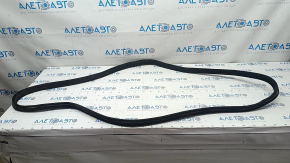 Mercedes W221 black rear right door seal