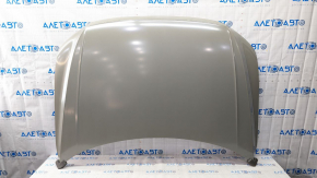 Naked hood VW Tiguan 18- steel