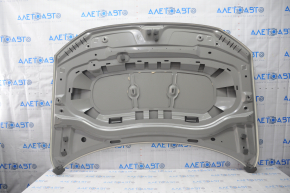 Naked hood VW Tiguan 18- steel