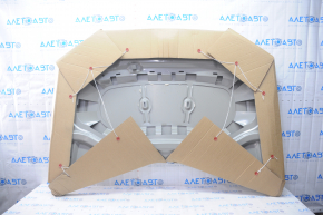 Naked hood VW Tiguan 18- steel
