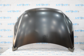 Naked hood VW Tiguan 09-17 steel