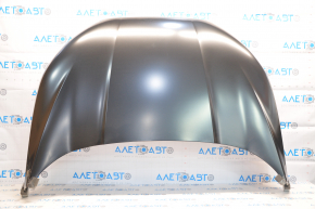 Naked hood Ford Ecosport 18-22 steel