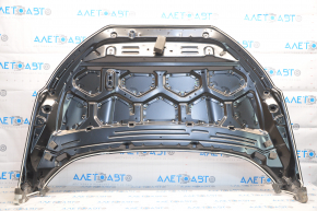 Naked hood Ford Ecosport 18-22 steel