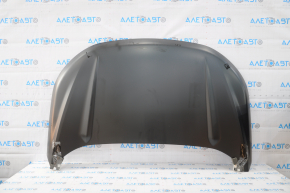 Naked hood Ford Edge 15-18 aluminum