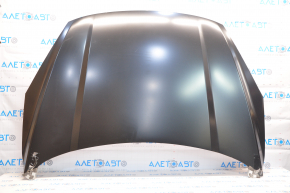 Naked hood Ford Escape MK4 20-22 steel