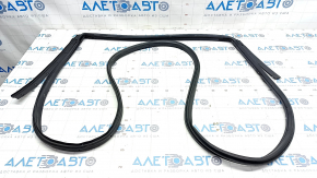 Door Seal Rear Right Nissan Rogue Sport 17-22