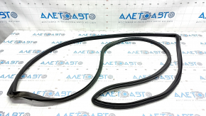Front Right Door Seal Nissan Rogue Sport 17-22