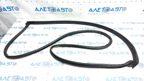 Front Right Door Seal Nissan Rogue Sport 17-22