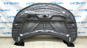 Hood bare Nissan Rogue Sport 17-19 graphite KAD, steel, sand