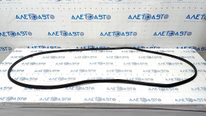 Ford Edge 15-24 Front Left Door Seal