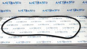 Ford Edge 15-24 Front Left Door Seal
