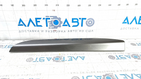 Ford Edge 19 Front Panel Molding - Dark Gray, Chrome Defect