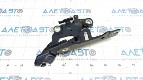 Hood hinge right BMW 4 F32/33/36 14-20