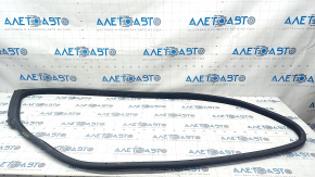 Door seal front right BMW 4 F32 14-20 Coupe