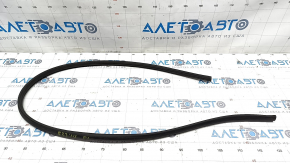 Front left door seal BMW 4 F32/33 15-20 convertible, Coupe