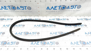 Front left door seal BMW 4 F32/33 15-20 convertible, Coupe
