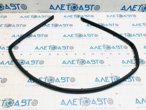Hood Seal Honda Insight 19-22 OEM