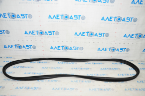 Door seal front left BMW 4 F36 15-20 Gran Coupe