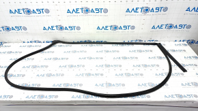 The rear left door seal of Hyundai Elantra AD 17-20 is torn