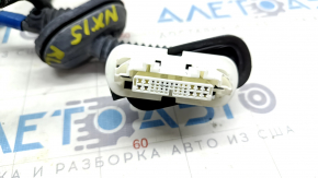 Rear Left Door Wiring Lexus NX200t NX300 NX300h 15-21