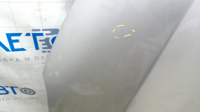 Hood bare Honda Clarity 18-21 usa, aluminum, silver NH-704M, chips