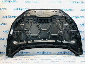 Naked hood Ford Edge 19- steel OEM