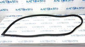 Front left door seal Kia Niro 17-22 worn