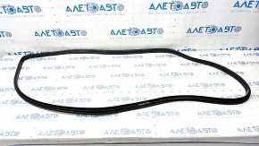 Front left door seal Kia Niro 17-22 worn