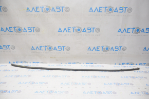 Lexus GS300 GS350 GS430 GS450h 06-11 Hood Seal on Bumper