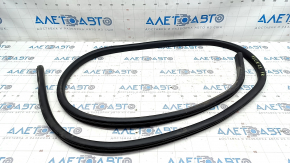 Door seal front right Ford Escape MK4 22-