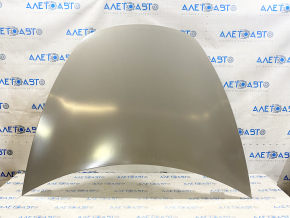 Tesla Model 3 18 bare hood - aluminum