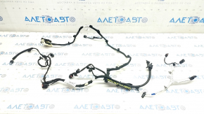 Wiring Ford Escape MK4 23- 1.5 FWD