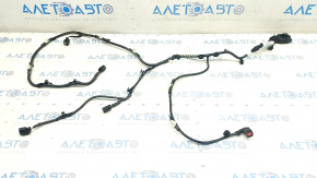 Ford Escape MK4 23- Radiator Panel TV Wiring