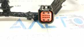 Ford Escape MK4 23- Radiator Panel TV Wiring