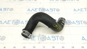 Lower cooling pipe Ford Escape MK4 23- 1.5T