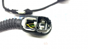 Wiring Rear Left Door Ford Escape MK4 20-