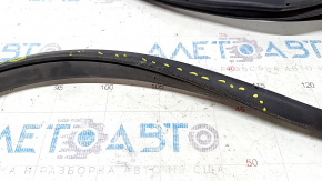 Door seal rear right Nissan Rogue 14-20 worn