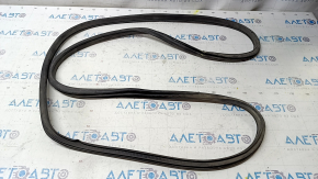 Door seal rear right Nissan Rogue 14-20 torn