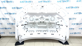 Hood bare Honda Accord 23- aluminum, white NH-883P