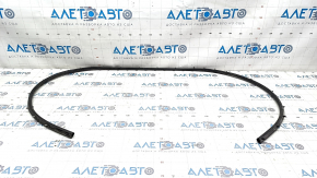 Honda Accord 23 Hood Seal - On Bumper