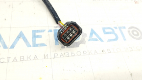 Honda Accord 23- Rear Bumper Wiring
