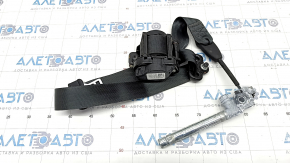 Driver's seat belt Ford Escape MK3 13-19 black, driftwood