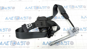 Driver's seat belt Ford Escape MK3 13-19 black, driftwood