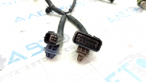 Wiring front bumper Honda Accord 23- for parking sensors
