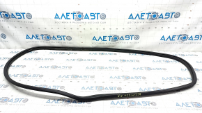 Door seal rear right Honda Accord 23-