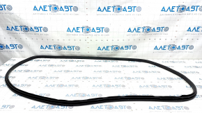 Door seal front left Honda Accord 23-