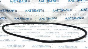 Door seal front right Honda Accord 23-