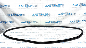 Door seal front right Honda Accord 23-
